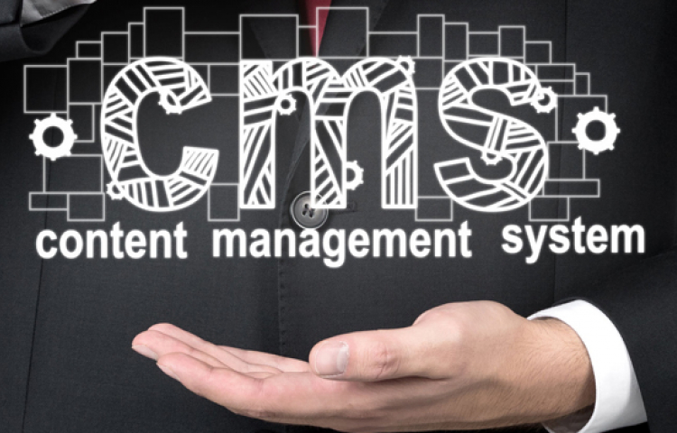 Gestores de contenido más utilizados, ¿cuál me conviene más?