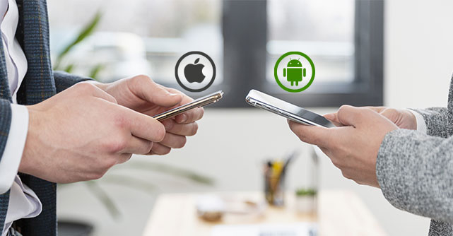 Segmentación Detallada